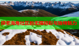 探索海角社区的无限精彩与独特魅力