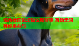海角社区论坛热议新鲜事 互动无限等你来参与