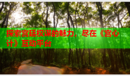 探索宫廷权谋的魅力，尽在《宫心计》互动平台