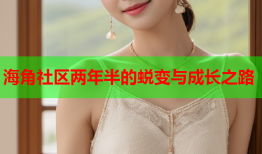 海角社区两年半的蜕变与成长之路