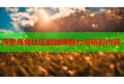 探索海角社区的独特魅力与精彩内容