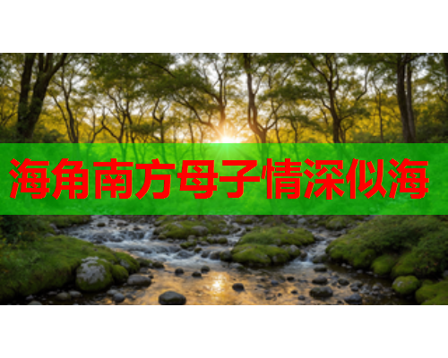 海角南方母子情深似海