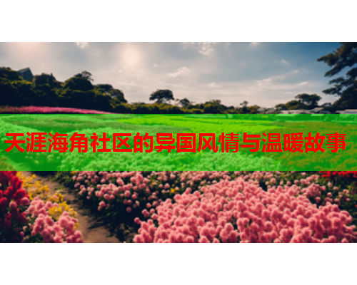 天涯海角社区的异国风情与温暖故事