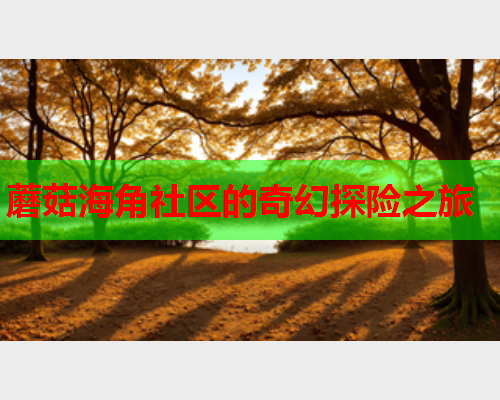 蘑菇海角社区的奇幻探险之旅