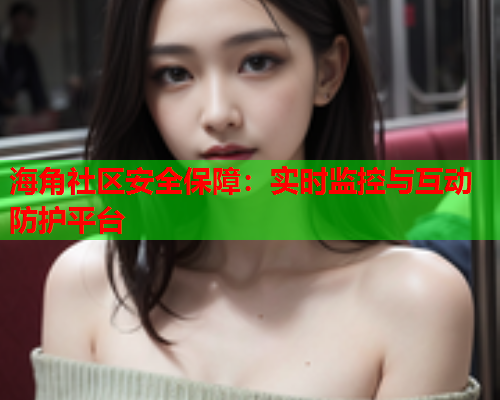 海角社区安全保障：实时监控与互动防护平台