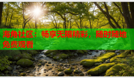 海角社区：畅享无限精彩，随时随地免费观看